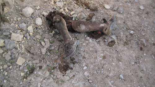 Asesinatos yanquis en Afganistan (VIII)