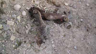 Asesinatos yanquis en Afganistan. (I)